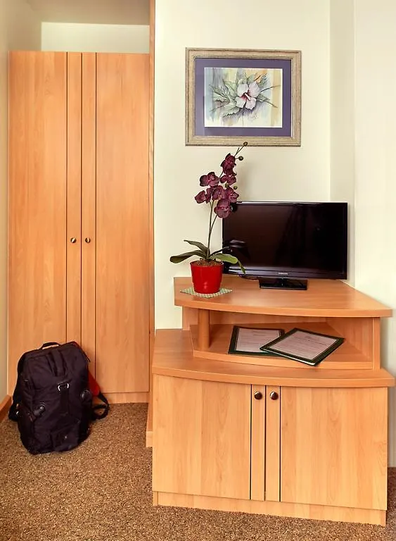 Pension Kasper Vienna 3*,  Austria